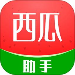 西瓜视频下载助手 1.0