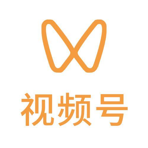 微信视频号下载器 2025.02.15
