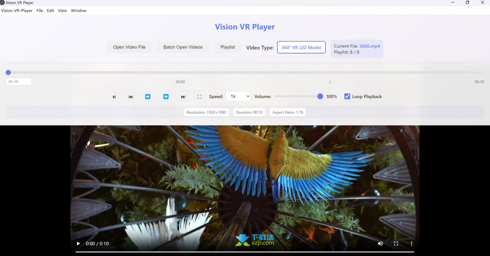 Vision VR Player界面