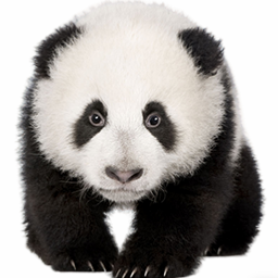 熊猫精灵脚本助手 3.5.4