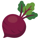 Beetroot(剪贴板管理器) 1.5.1