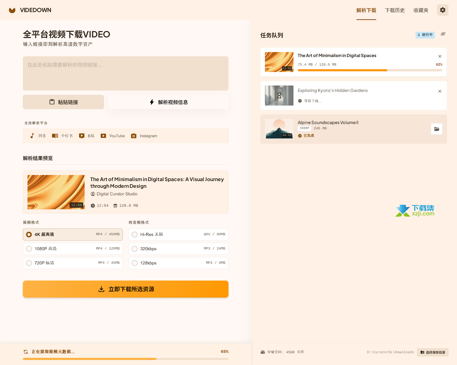 Videdown下载界面
